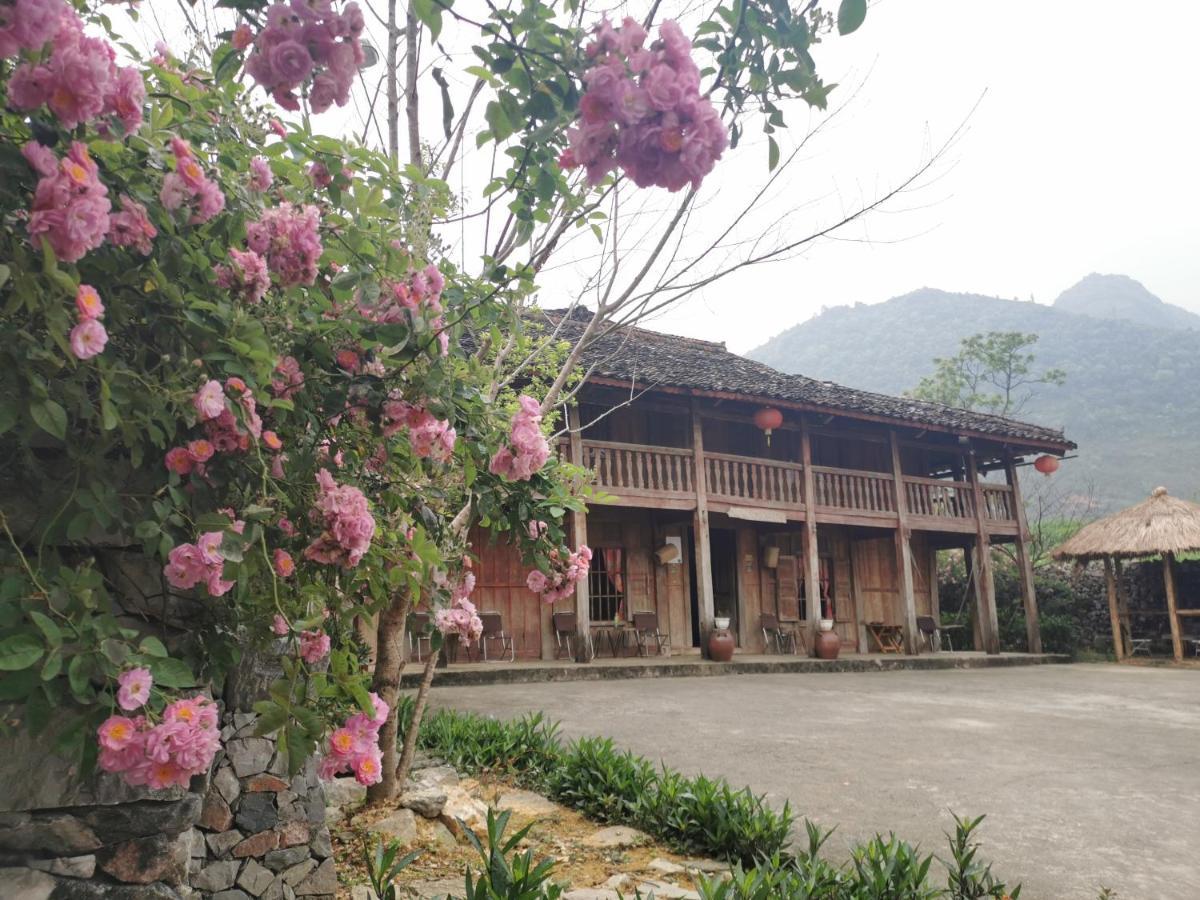 Hostel Lo Lo & Cafe *