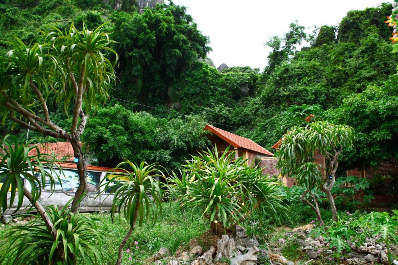 Tam Coc Valley Privatunterkunft Ninh Binh