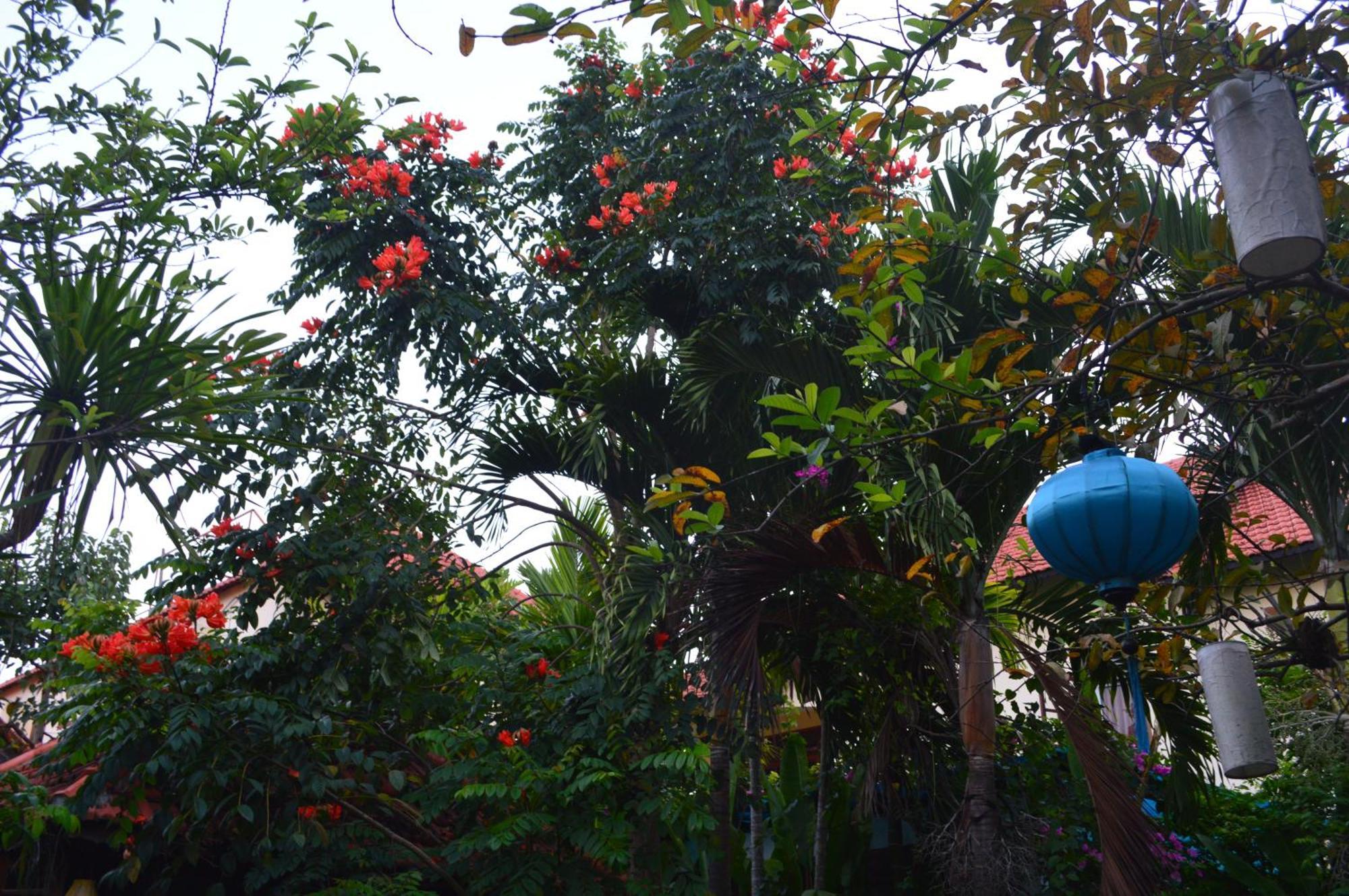 Biệt thự Orchid Garden Riverside *
