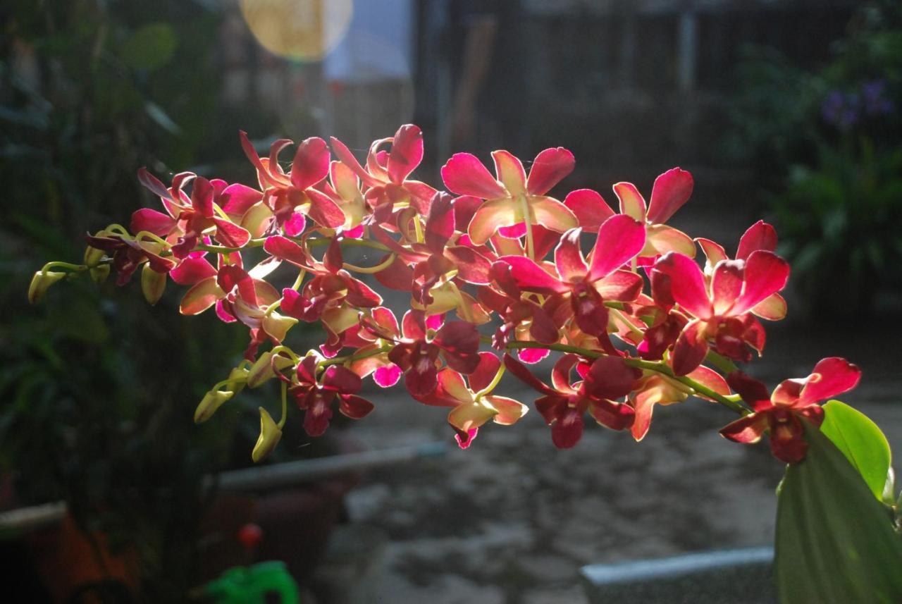 Biệt thự Orchid Garden Riverside