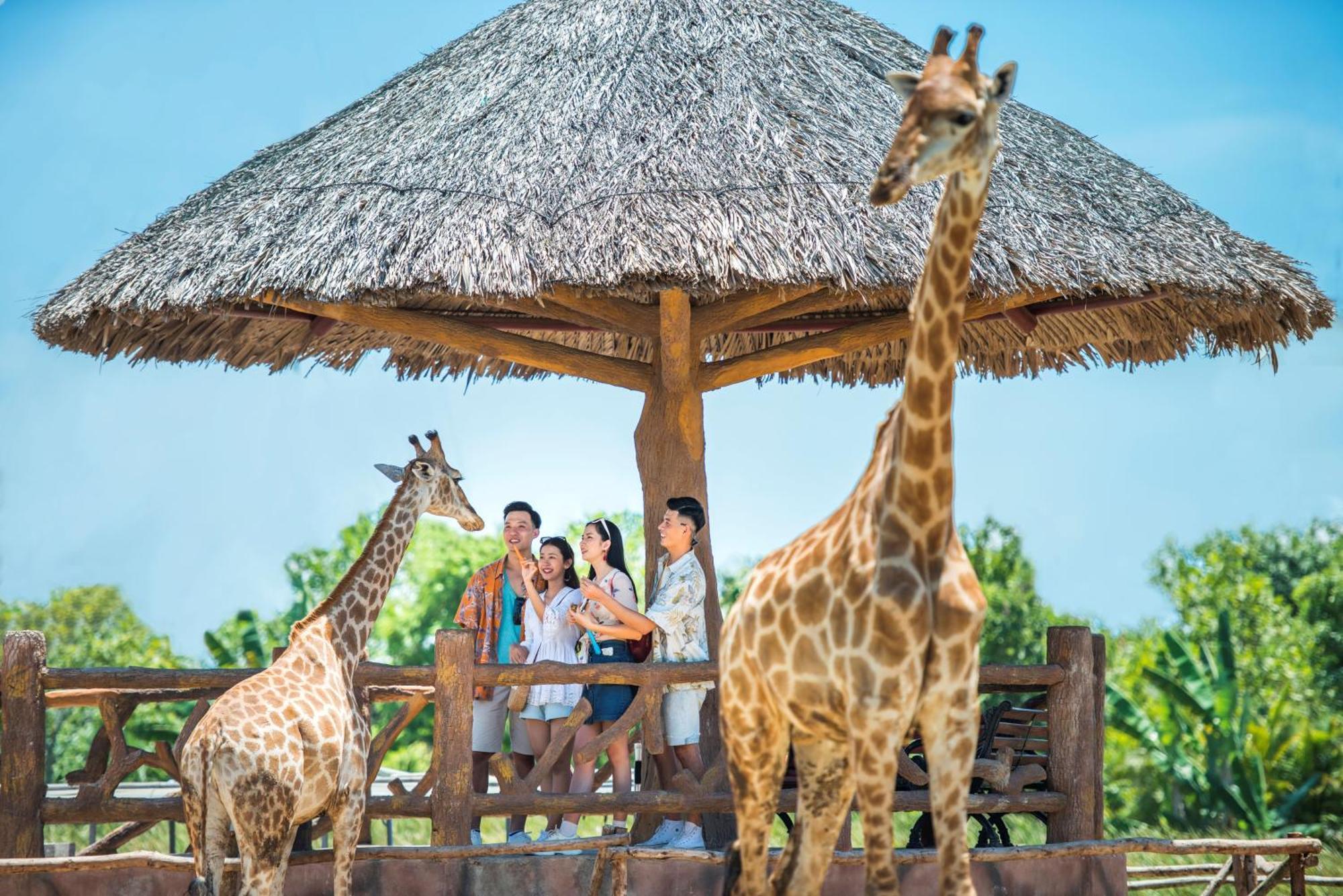 Vinpearl Resort&golf Nam Khu nghỉ mát