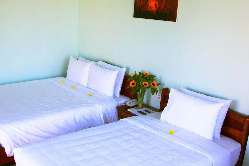 Guest house Mina Le 3*