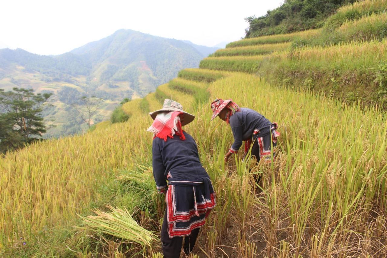 Hoang Su Phi 2*