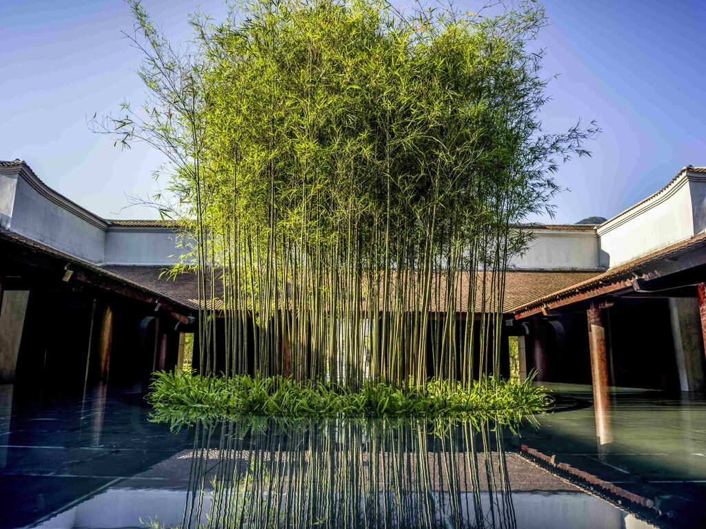 Legacy Yen Tu - Mgallery Uong Bi