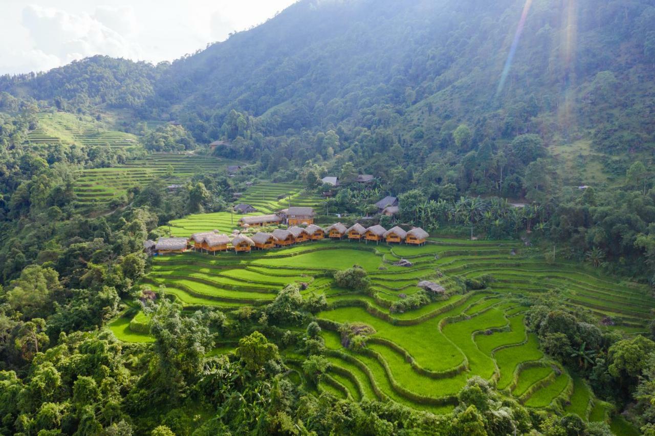 Hoang Su Phi
