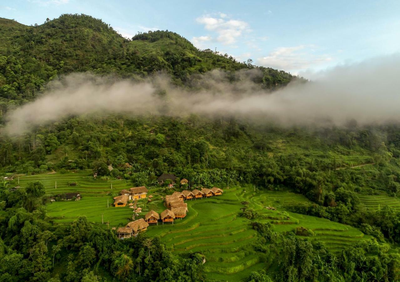 Hoang Su Phi