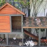 Lily Apartment