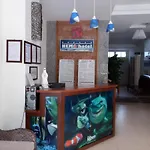 Da Nang Nemo Hotel