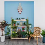 Co Tu\'S Homestay