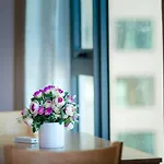 Anita Apartment
