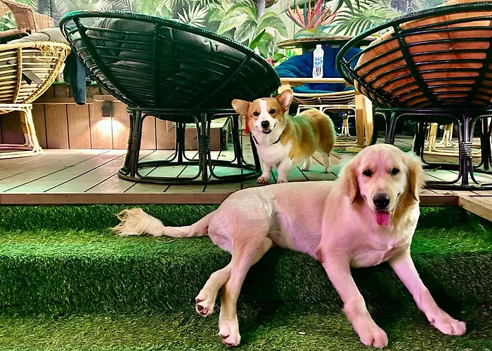 Rom Casa Hostel Da Nang