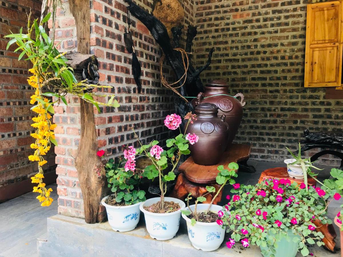 Little Yen's Guest house *