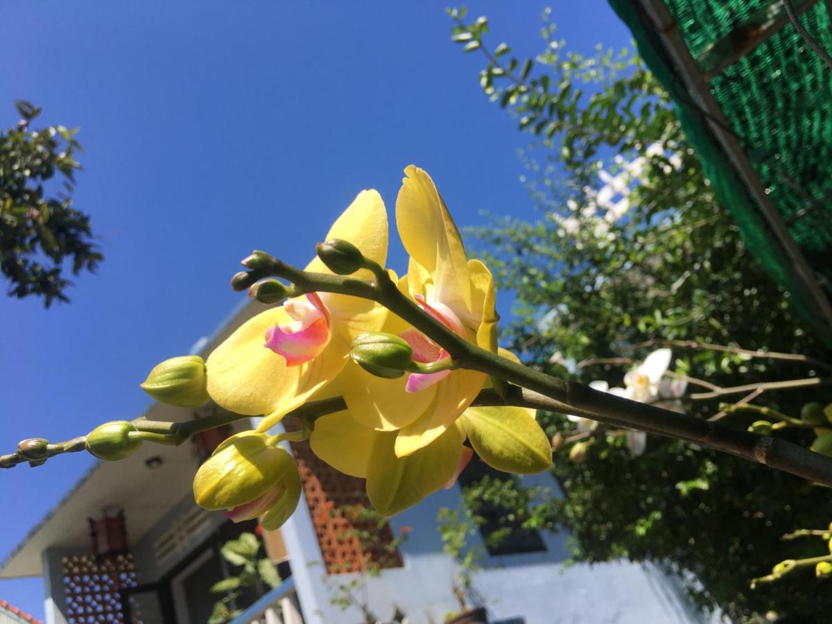 Cherry Garden Ở trọ Hội An