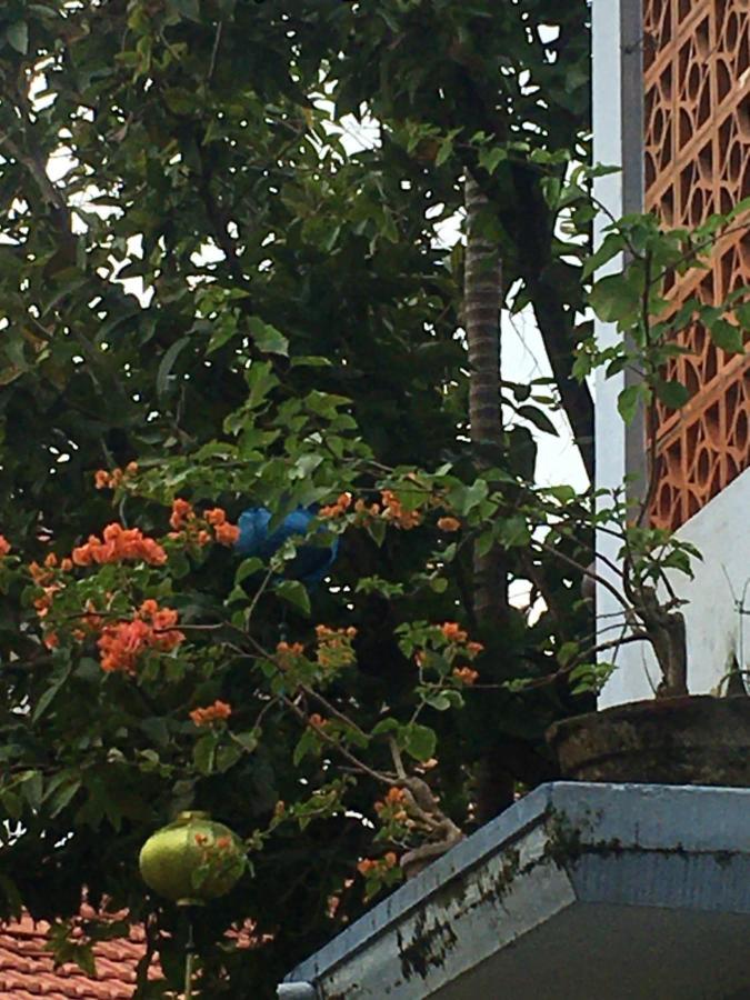 Ở trọ Cherry Garden