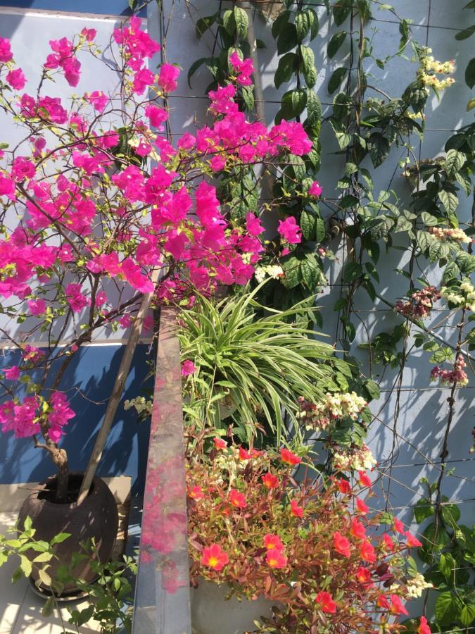 Ở trọ Cherry Garden Hội An