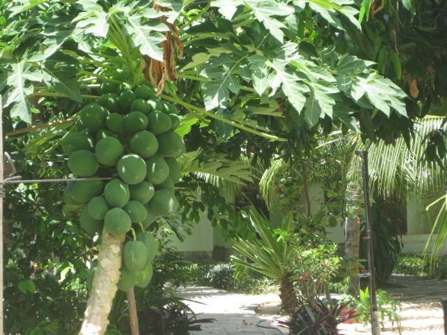 Guest house Cocosand Phan Thiet
