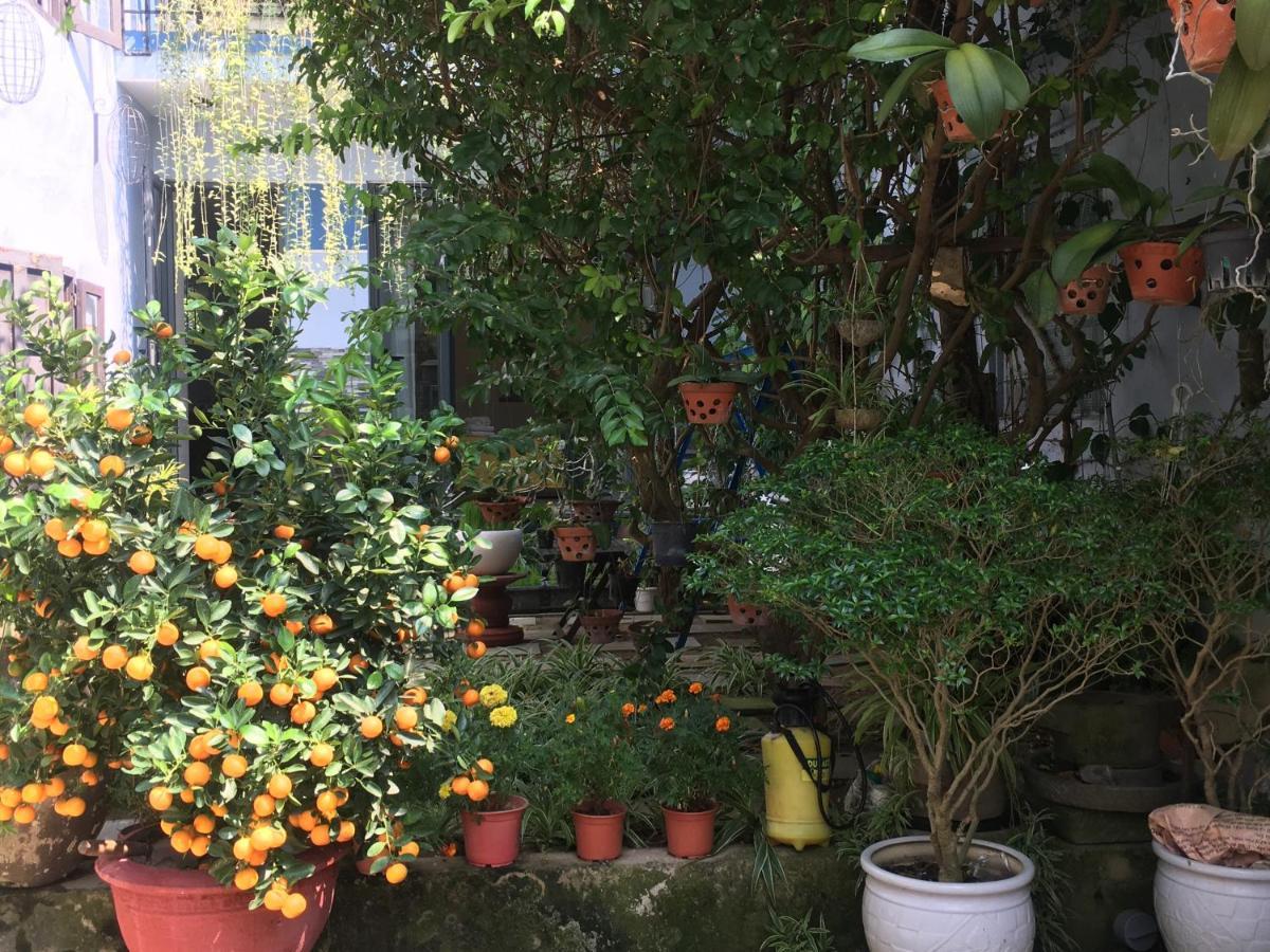 Cherry Garden * Hội An