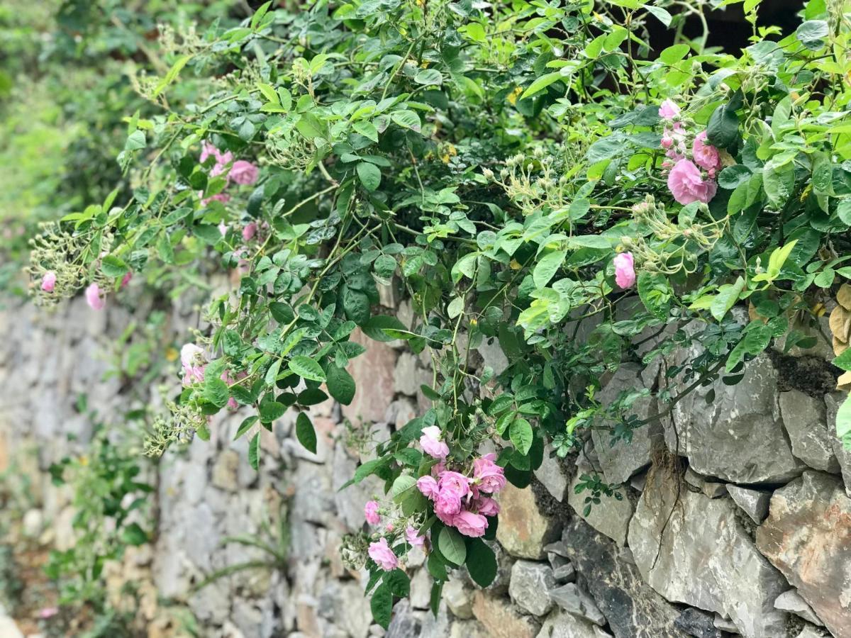 Little Yen's Guest house Meo Vac