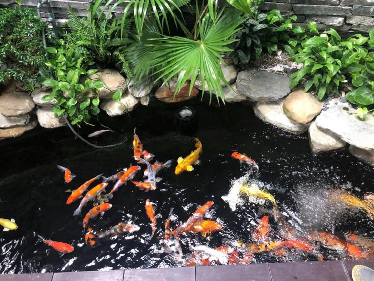 Aparthotel Cani House Đà Nẵng