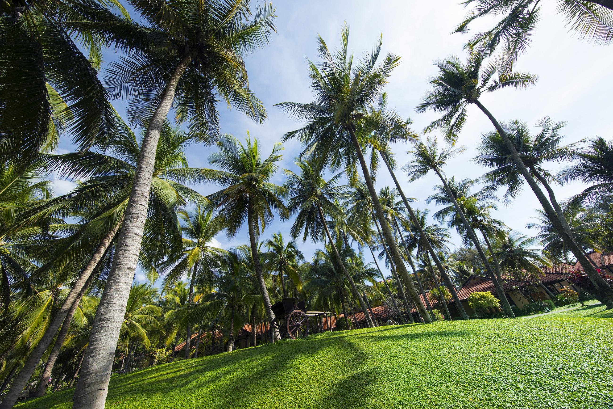 Hotel Seahorse & Phan Thiet