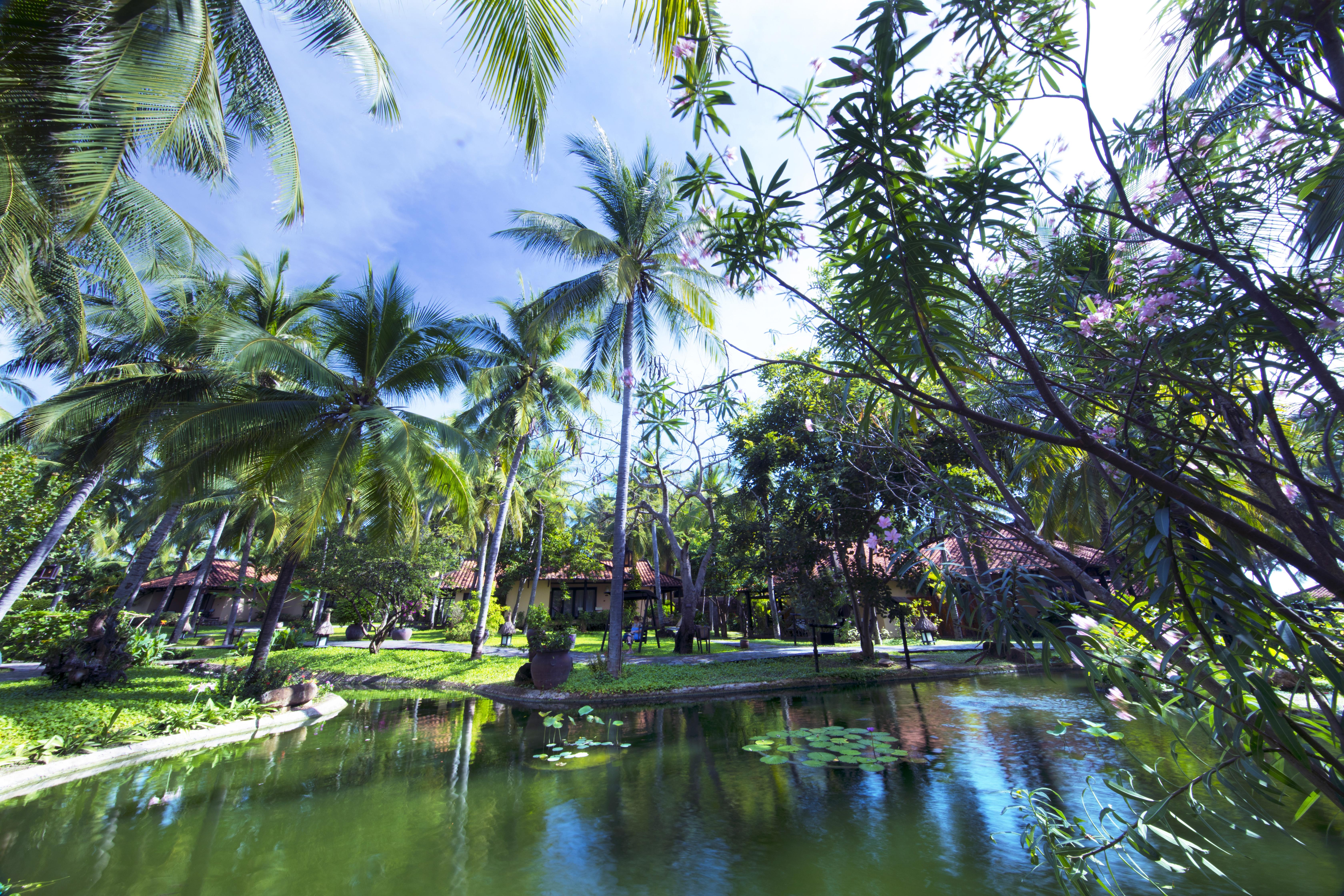 Seahorse & Phan Thiet