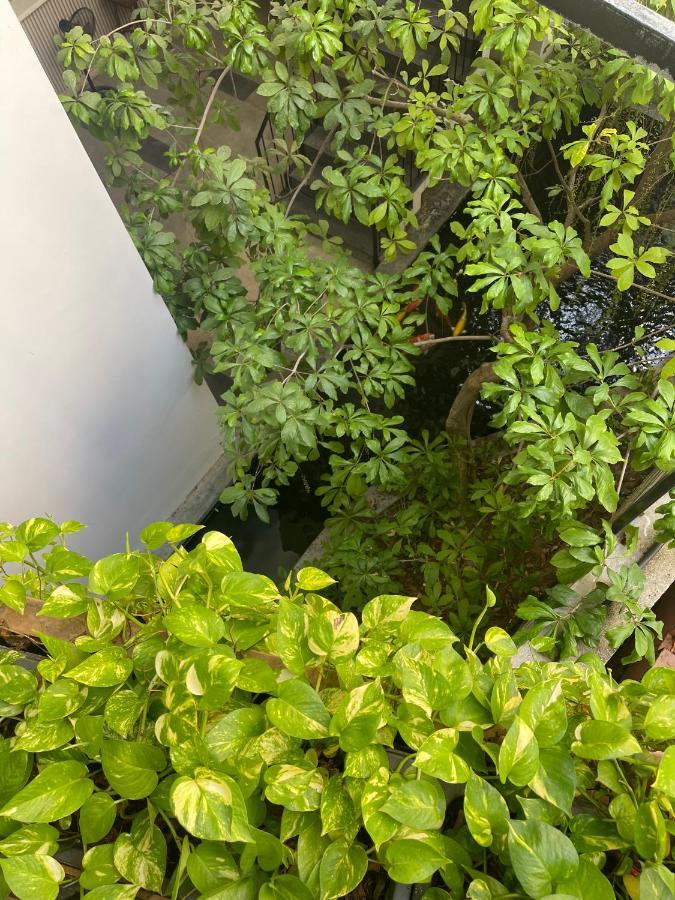 Khách sạn Babylon Garden Đà Nẵng