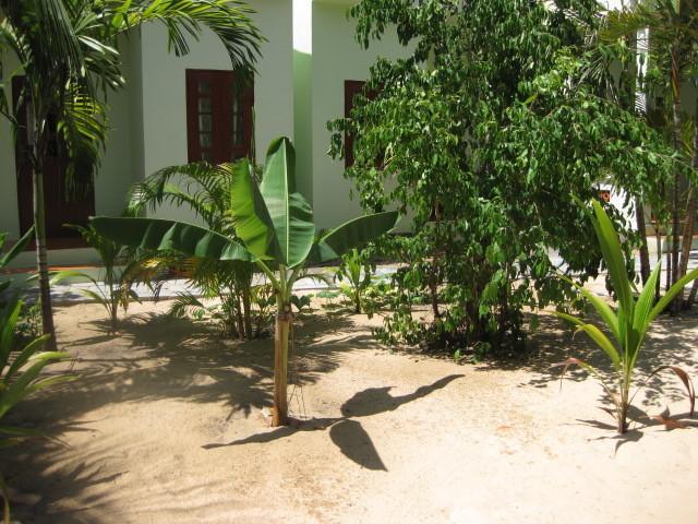 Cocosand Guest house
