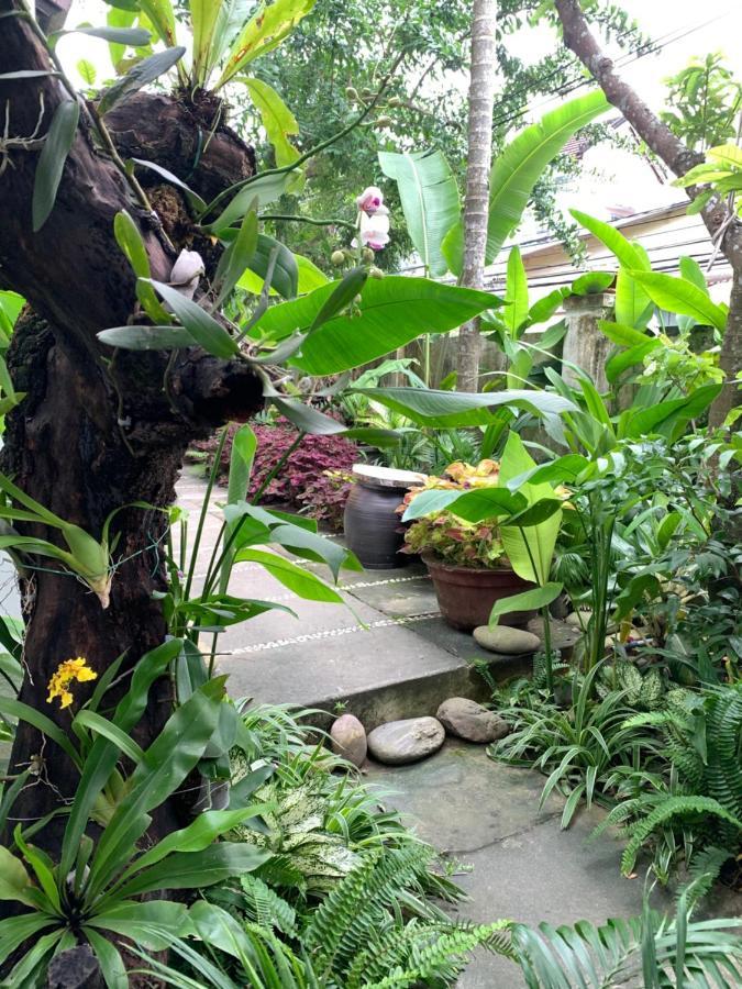 Privatunterkunft Sunny Garden *