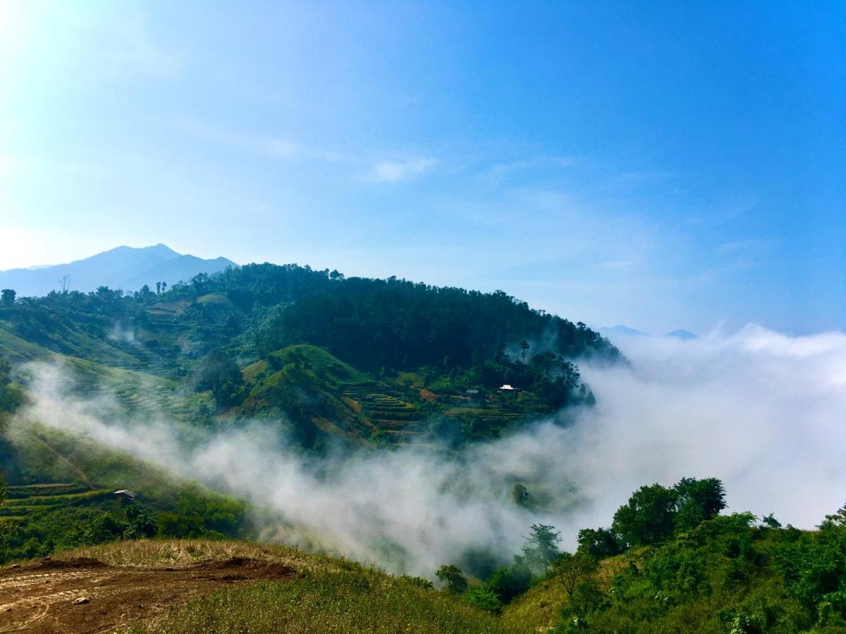 Tâm Cường
