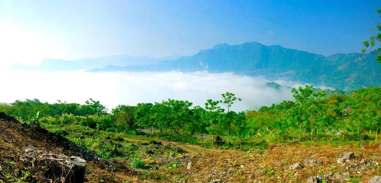Tâm Cường Nhà khách Điện Biên Phủ