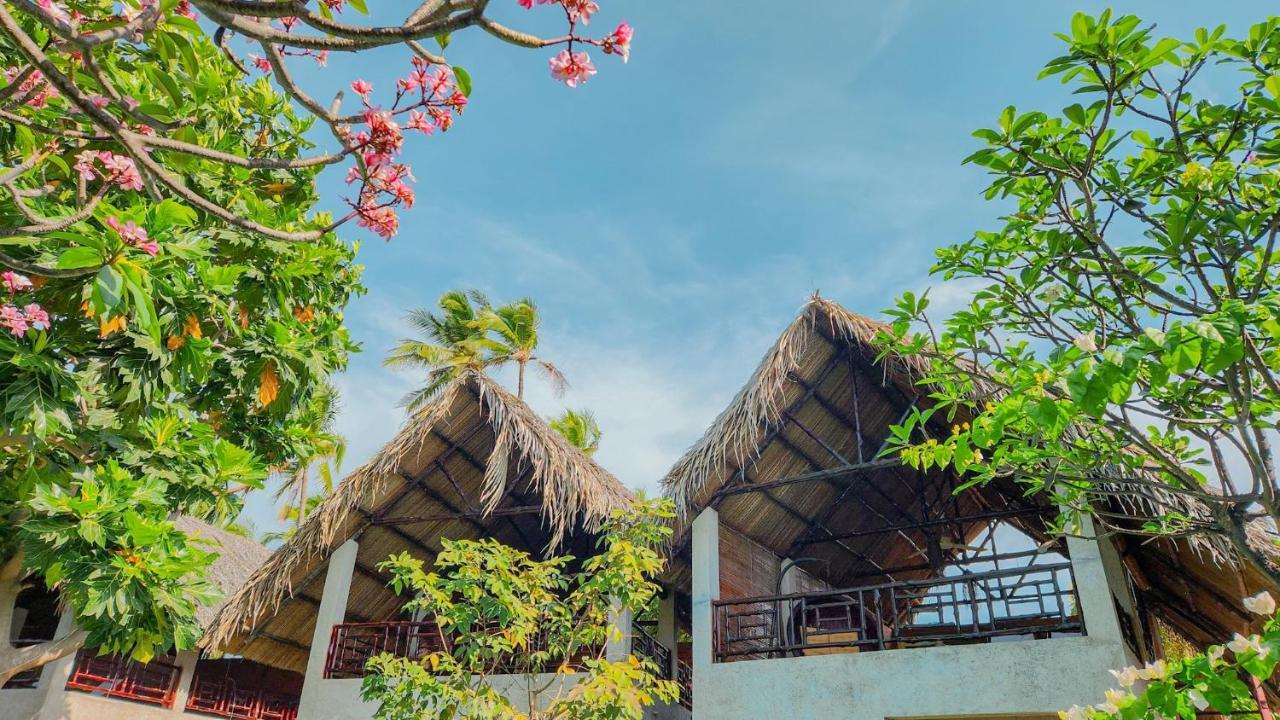 Lang Ca Voi Ll The Whales Village Ll Mui Ne Villa Phan Thiet