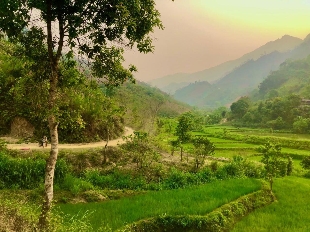 Tâm Cường *