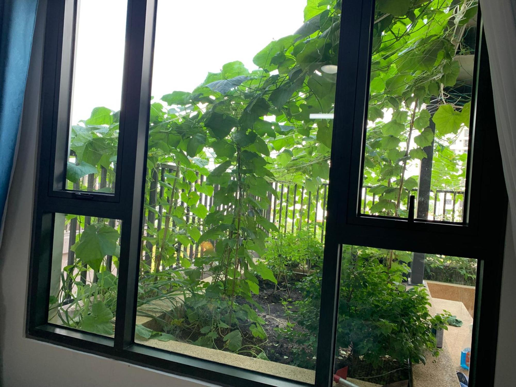 Bin's House Apartment *