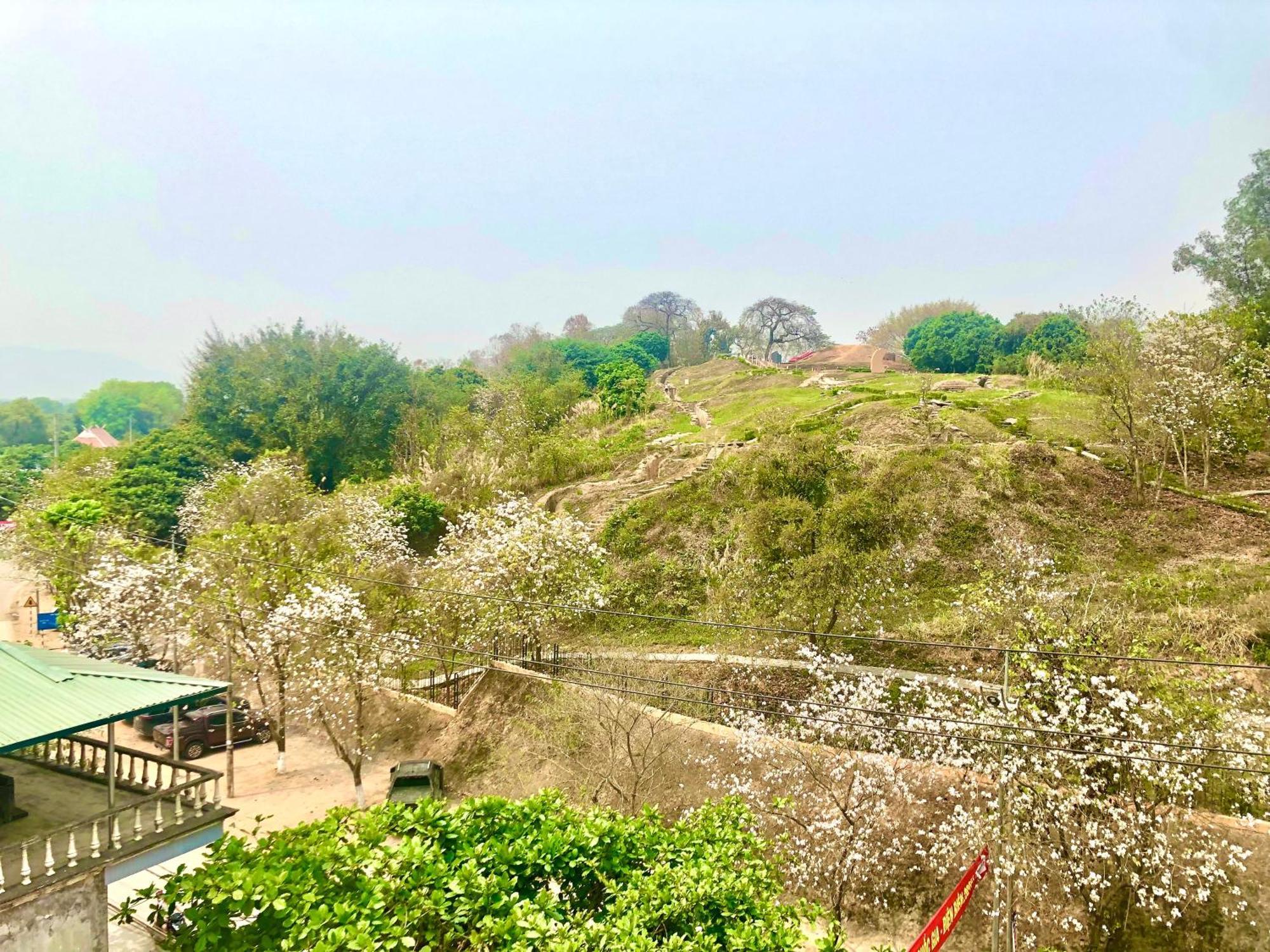 Tâm Cường *