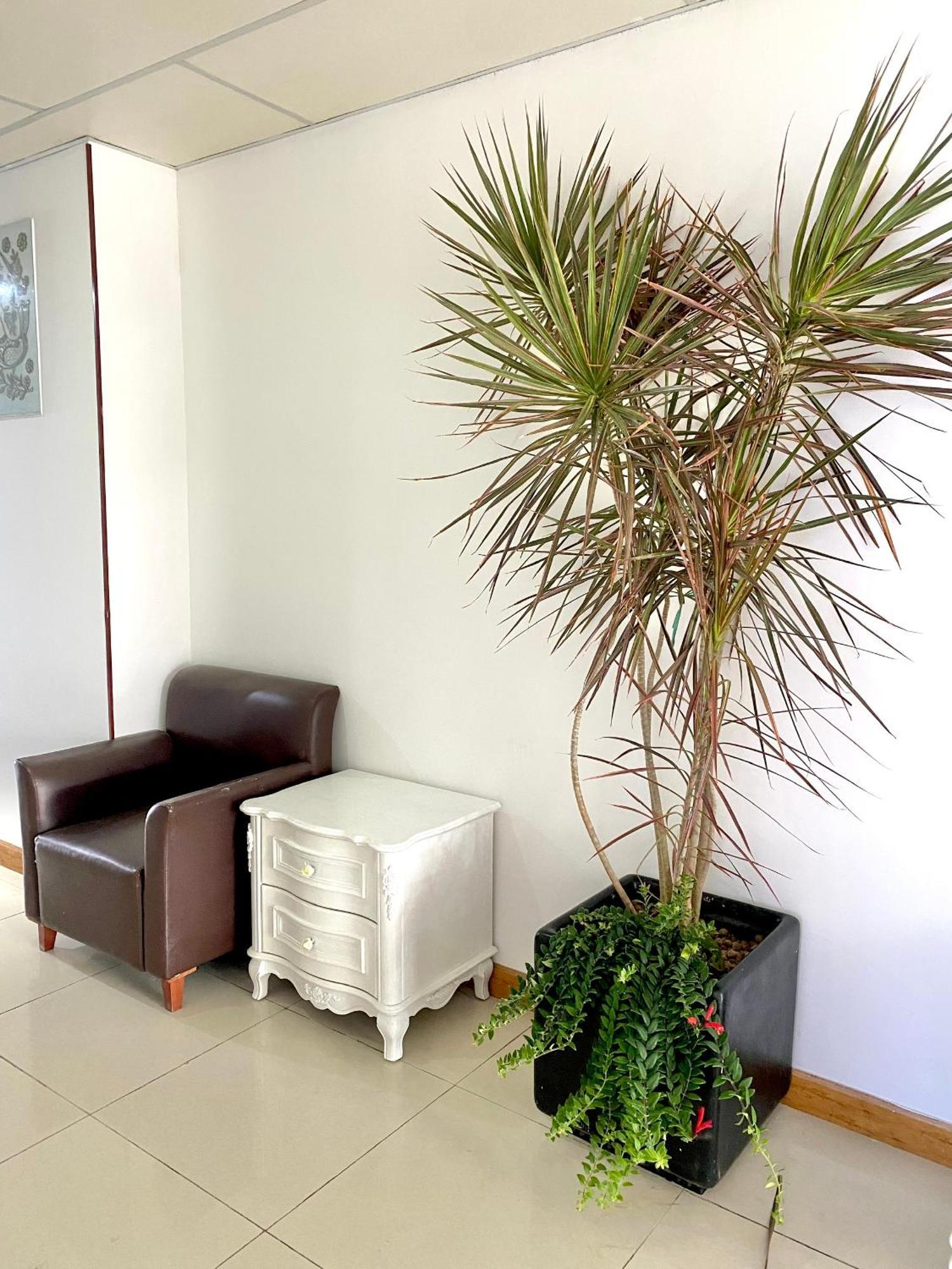 Apartment Zozo House - Homestay Bai Sau Vung Tau
