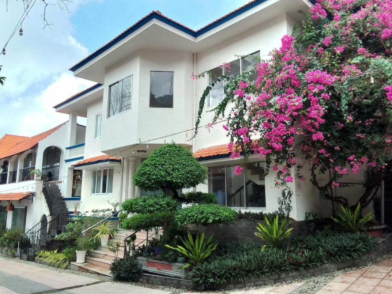 Vnd & 3* Vung Tau