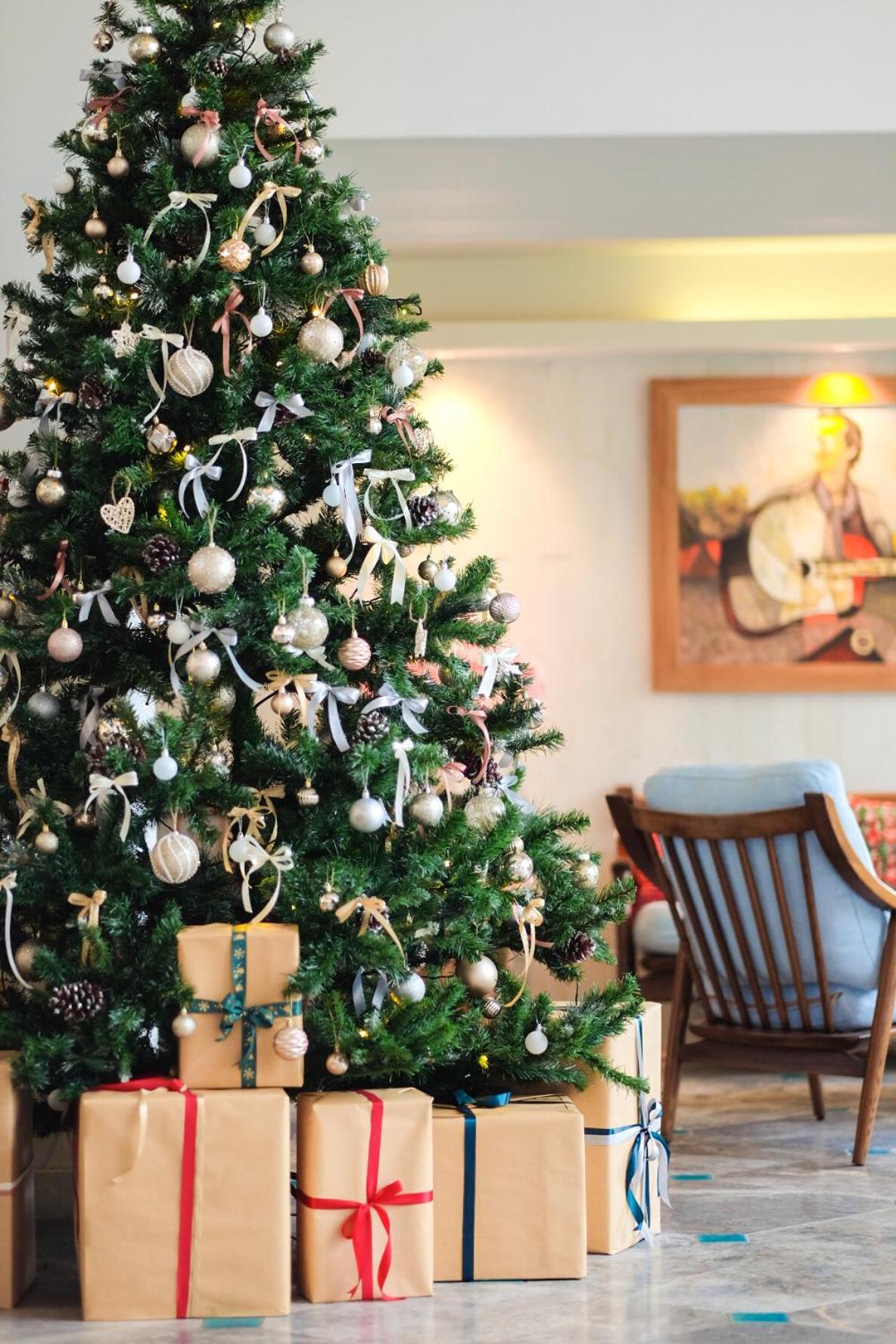 Salmalia Boutique & Hotel