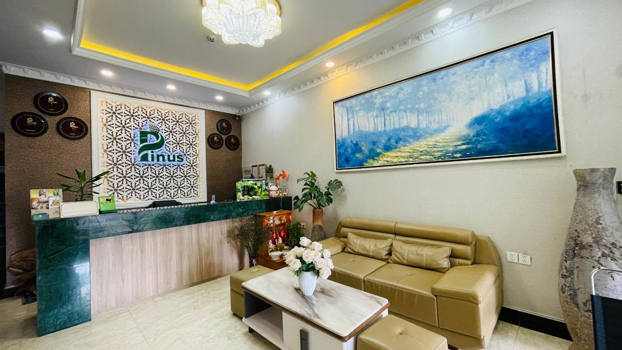 Pinus Da Lat