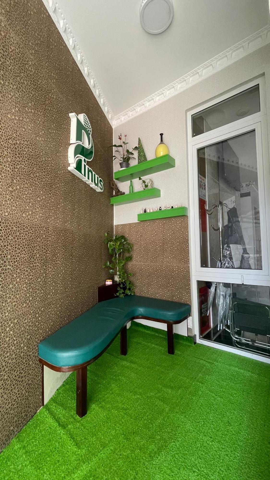 Pinus Hotel 3*