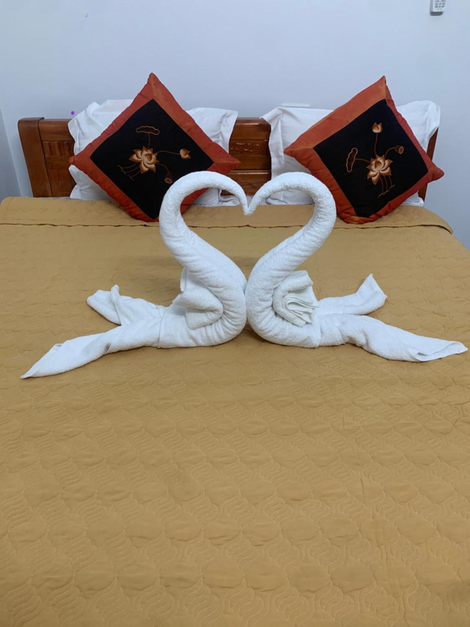 Hostel Tam Coc White Swan Ninh Binh