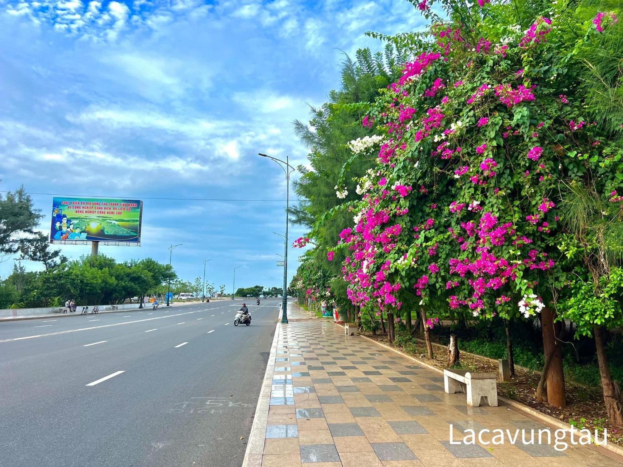 The Song Remy Apartment Vung Tau