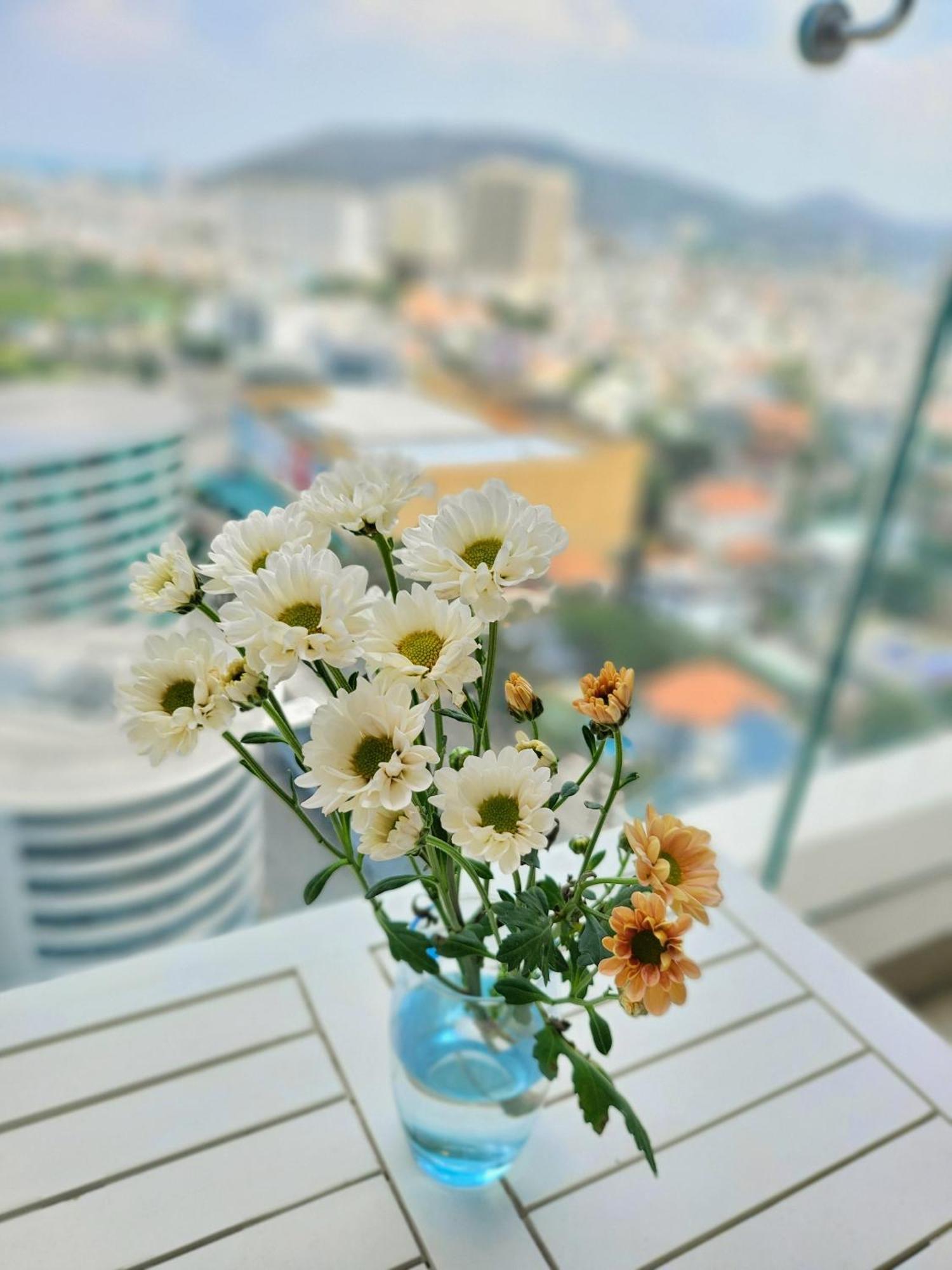 Apartment The Song *