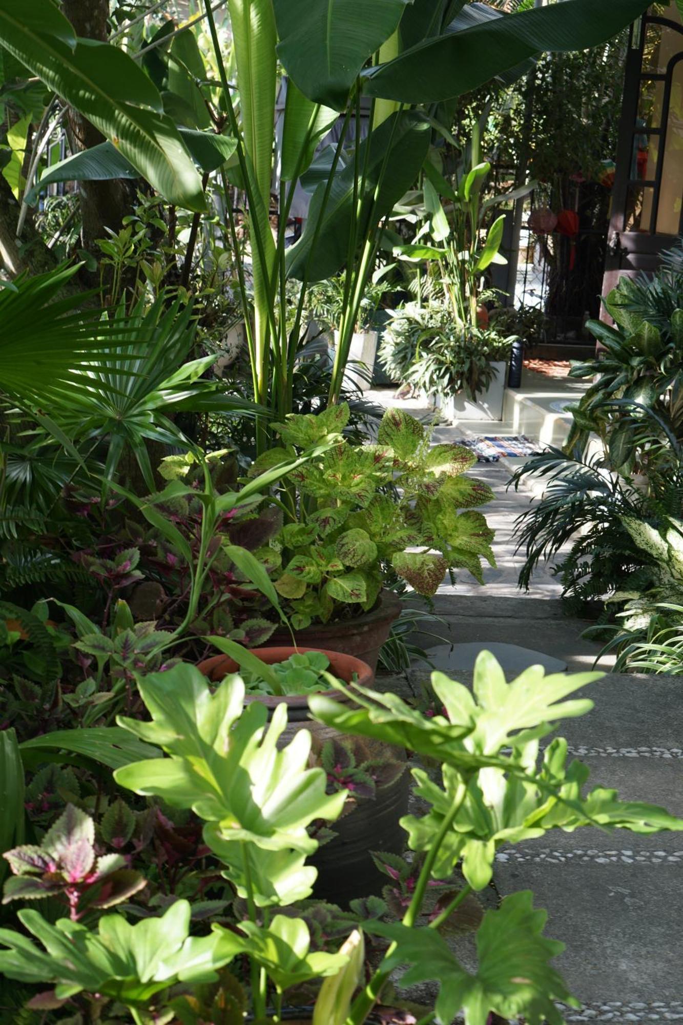 Sunny Garden Privatunterkunft *