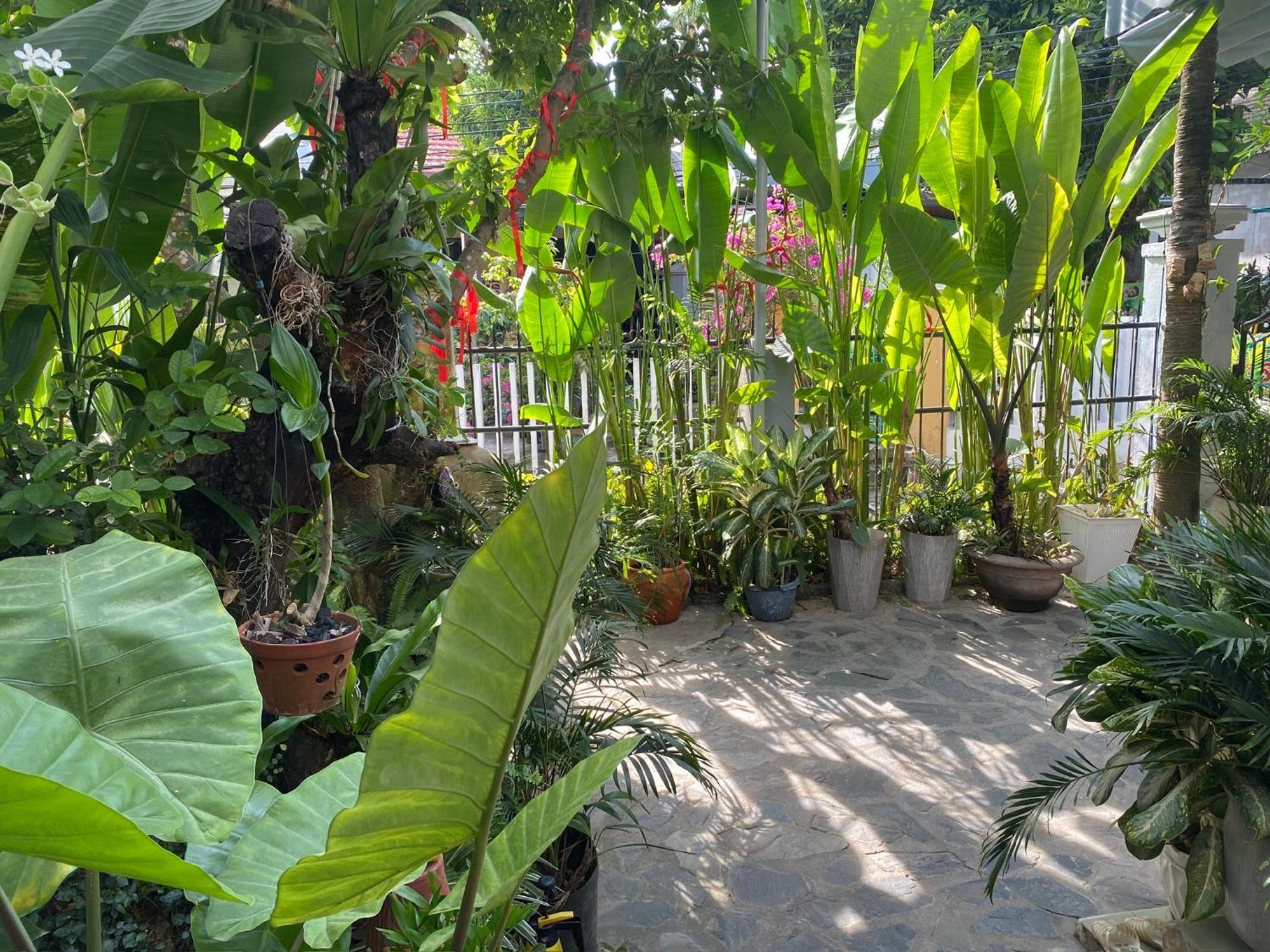 Sunny Garden Privatunterkunft