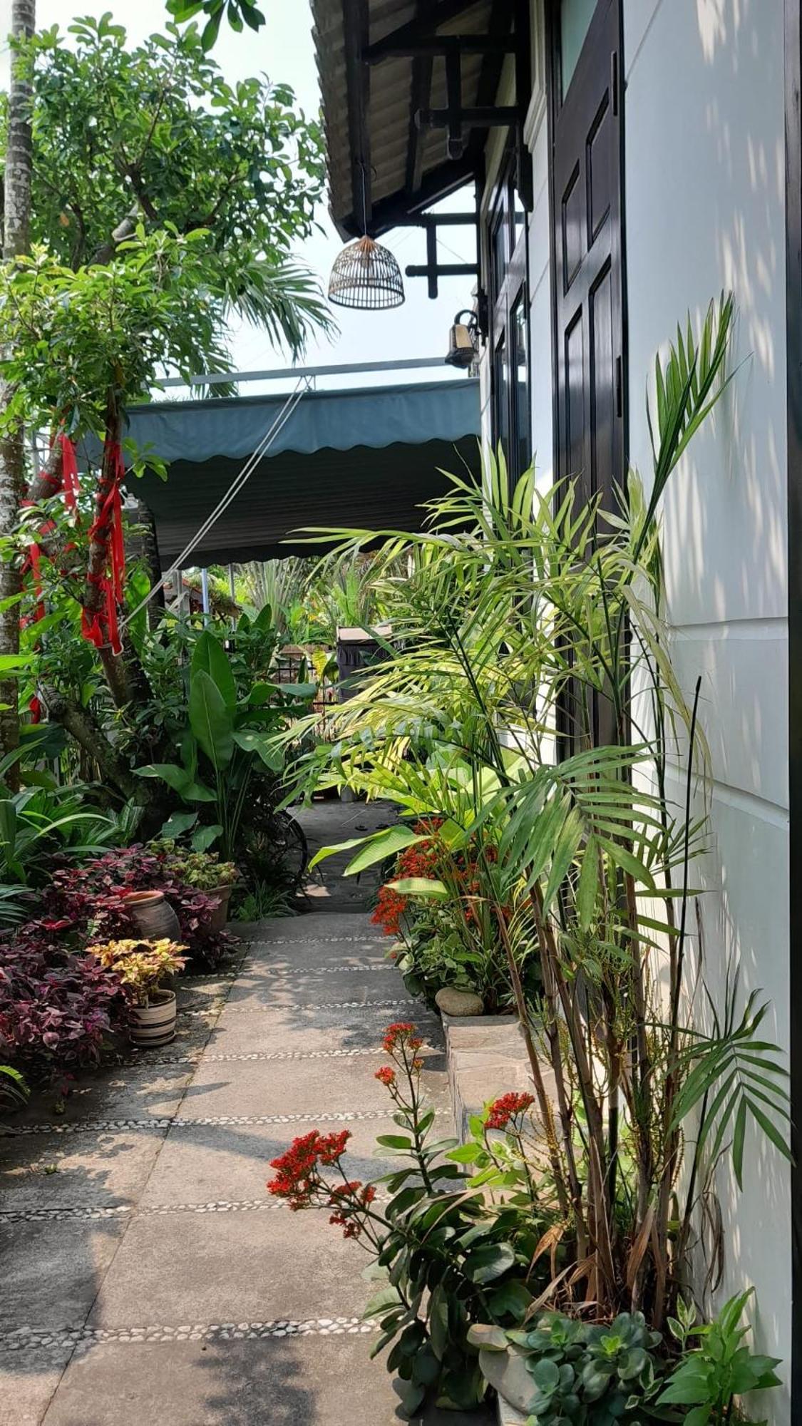 Privatunterkunft Sunny Garden