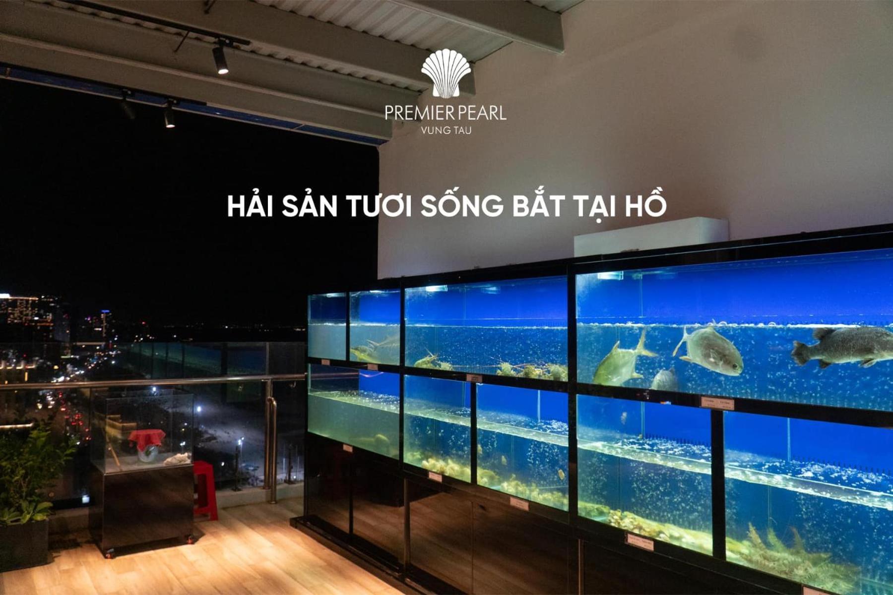 Premier Pearl 4* Vung Tau
