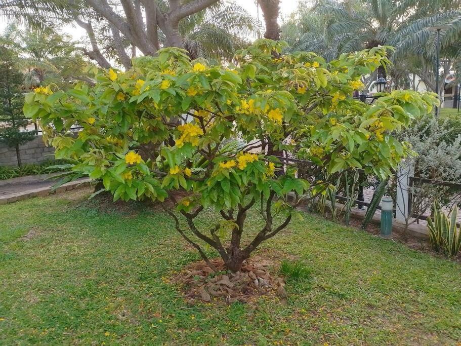 Biet Thu Bien Mui Ne - Muine Domaine - Sea View Villa *