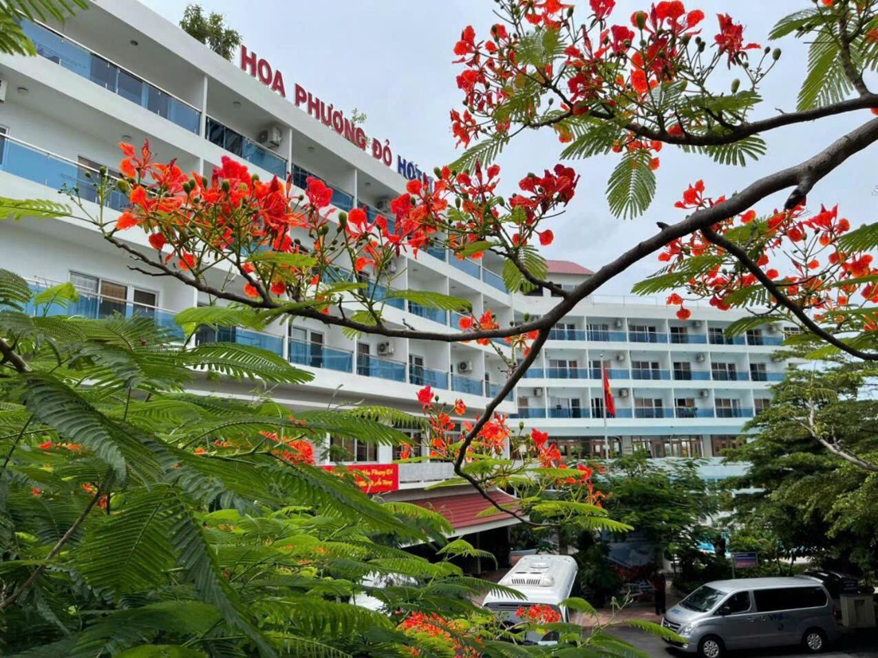 Hoa Phuong Do 2*