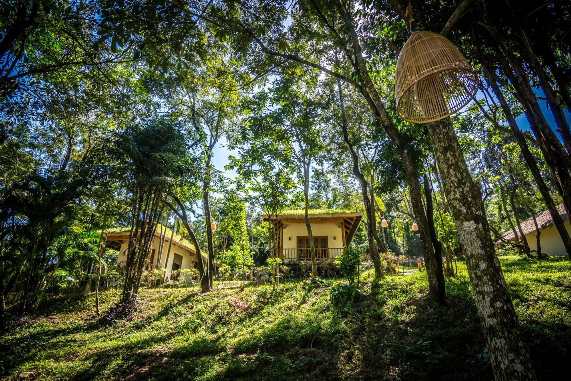 Baho Eco Beat Resort