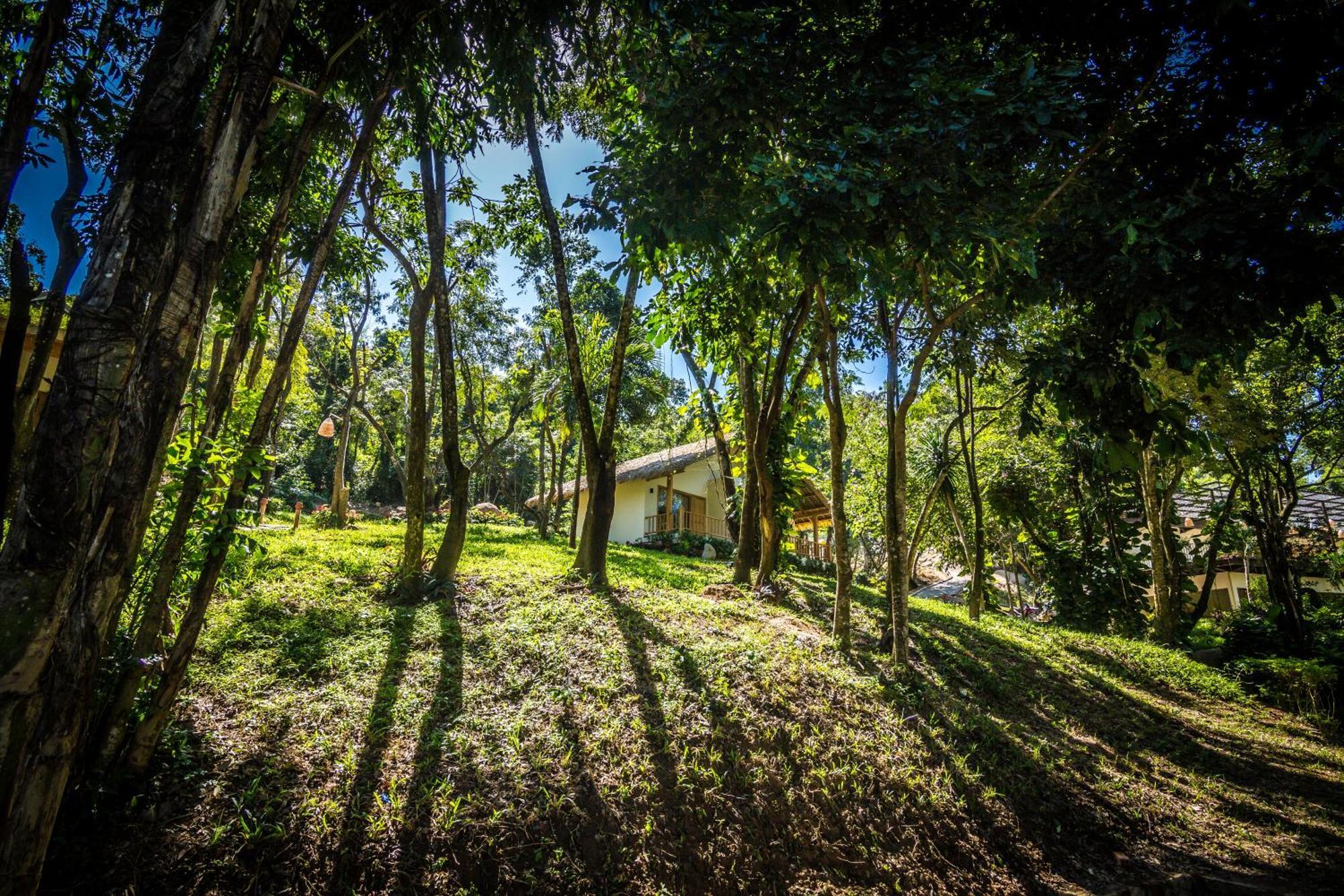 Resort Baho Eco Beat 3*